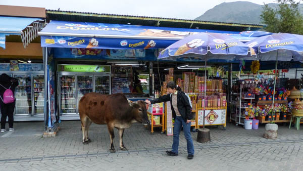 Hong Kong Ngong-Ping-Plateau