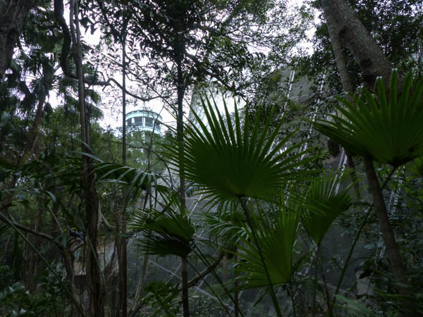 Hong Kong Zoological and Botanical Gardens