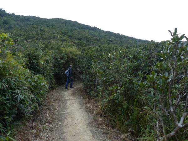 Hong Kong Aufstieg zum Violett Hill