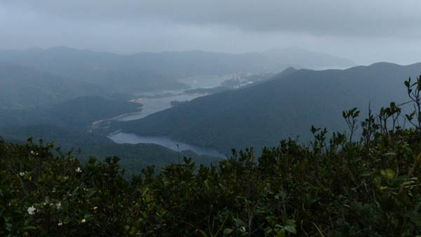 Hong Kong Aufstieg zum Violett Hill