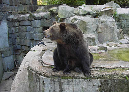 K�nigsberg Zoopark