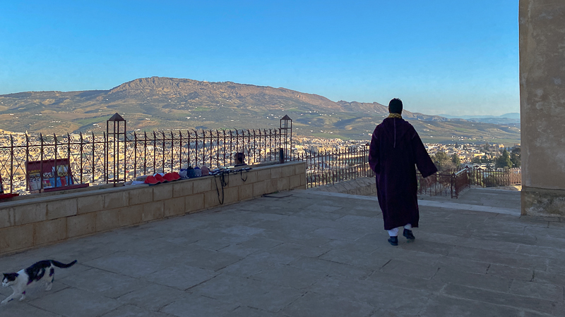 Panoramablick von der Burg auf F&egrave;s