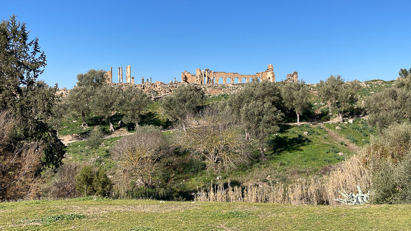 Volubilis