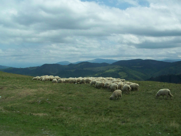 rumänischen Karpaten