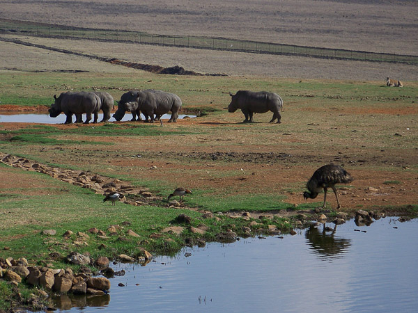 Blick von Rastst&auml;tte ALZU auf Wasserloch
