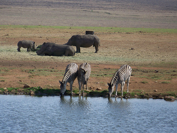 Blick von Rastst&auml;tte ALZU auf Wasserloch