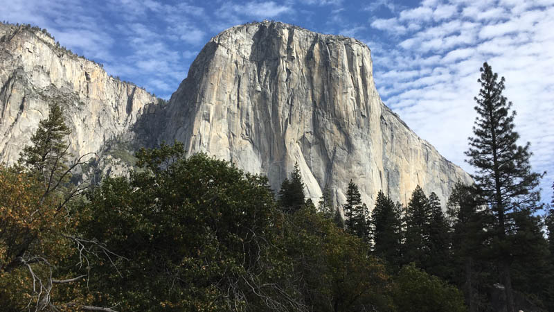 Yosemite NP El Capitan