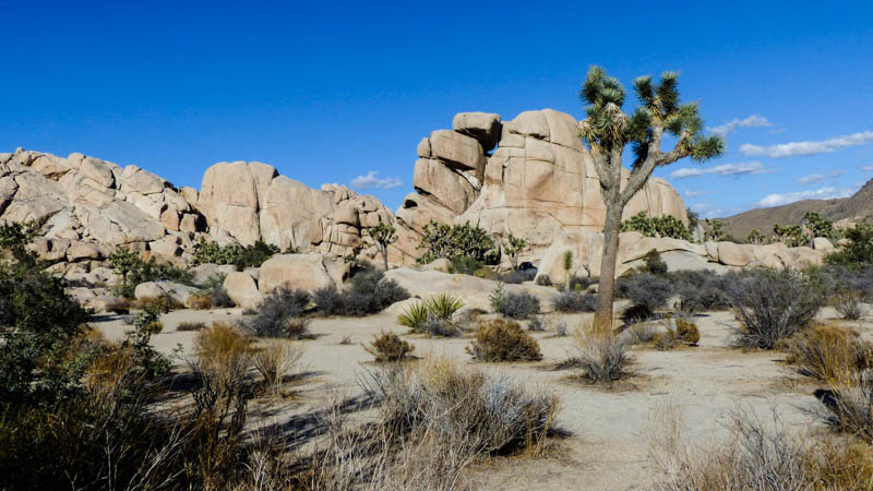 Joshua Tree Nationalpark Chimney Rock