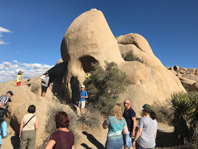 Joshua Tree Nationalpark Skull Rock