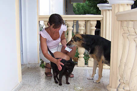 Hotel Riverside Holiday Village